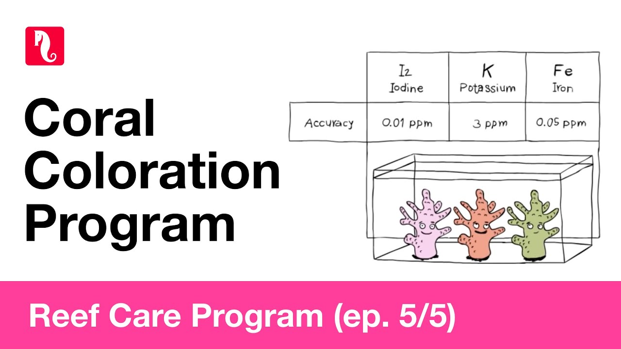Red Sea Reef Care - Coral Coloration Program (episode 5/5) HD