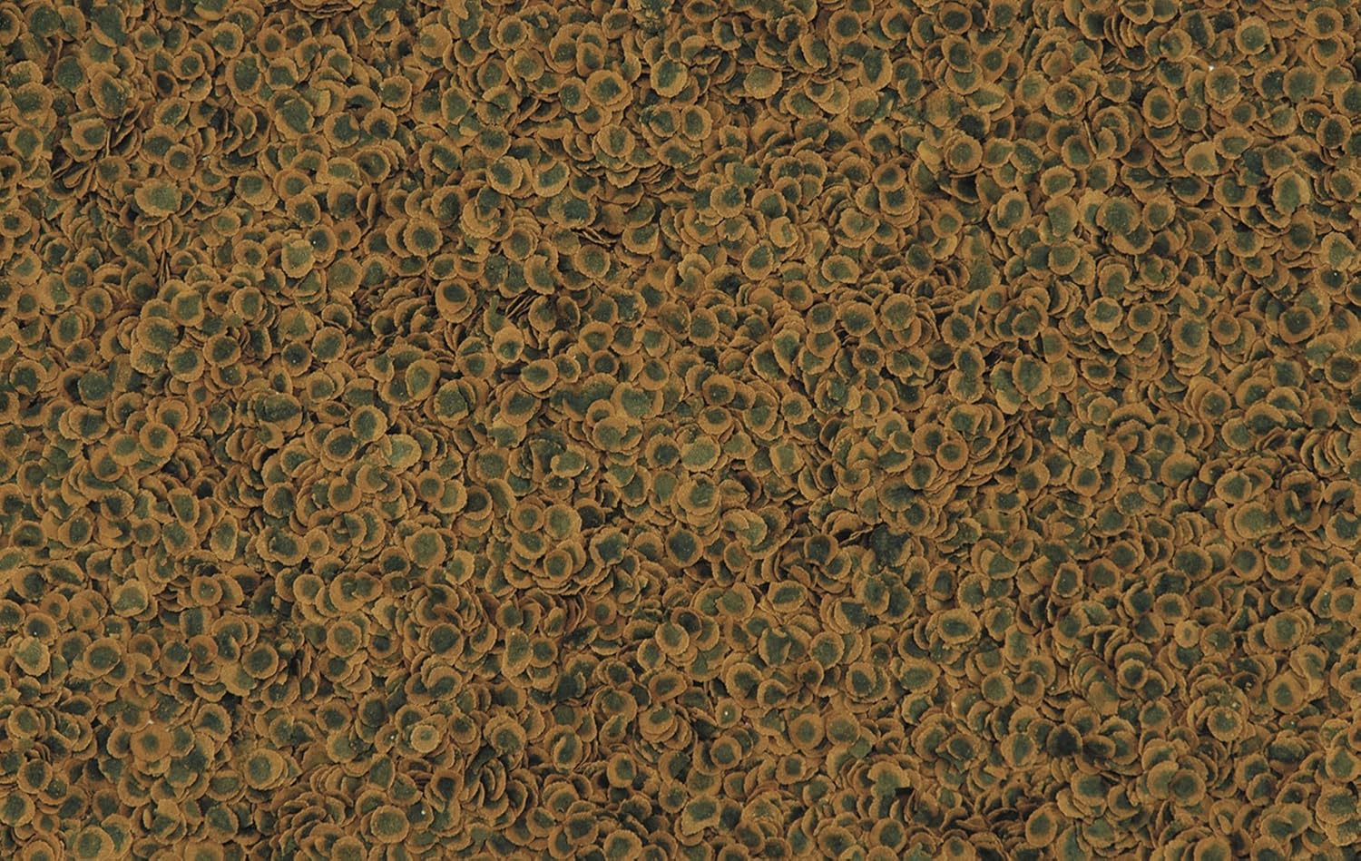 Tetra Pro Algae Tetra Pro Algae - Image 3
