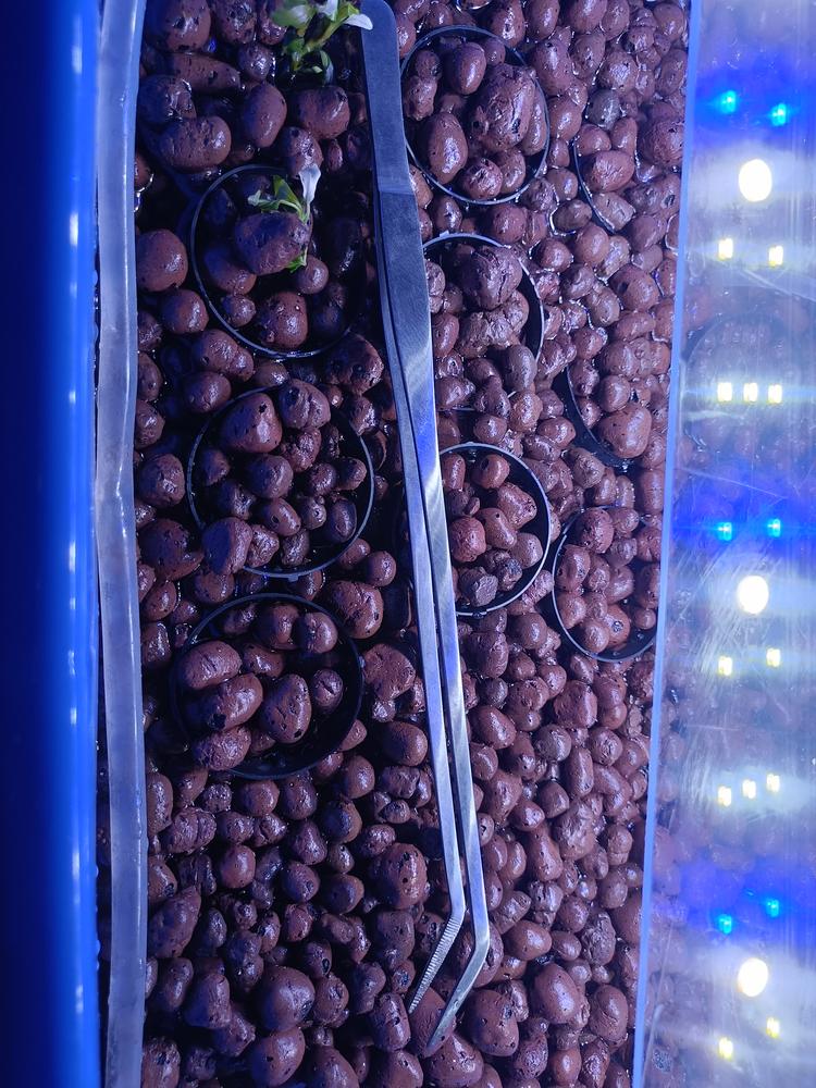 Image #1 from Kaushik Sarkar