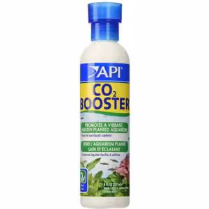 API Co2 Booster