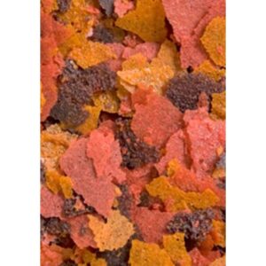 Ocean Nutrition Brine Shrimp Plus Flake 156 Gm - Image 2