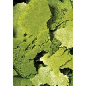 Ocean Nutrition Formula Two Flake 156 Gm - Image 2