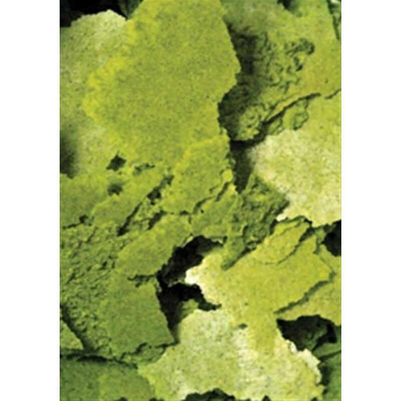 Ocean Nutrition Formula Two Flake 156 Gm Ocean Nutrition Formula Two Flake 156 Gm - Image 2