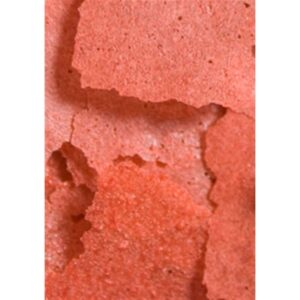 Ocean Nutrition Prime Reef Flake 156 Gm - Image 2