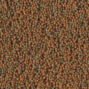 Tetra Cichlid Algae - Image 2