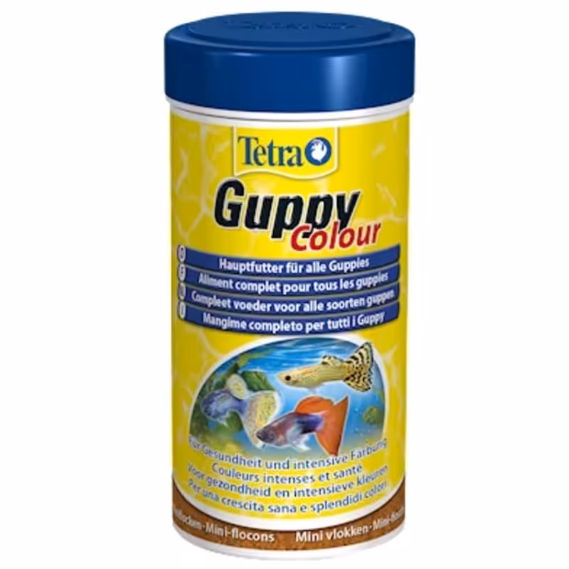Tetra Guppy Colour