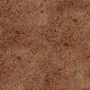 Tetra Min Holiday - Image 2