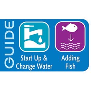 API Gold Fish Success pack - Image 3