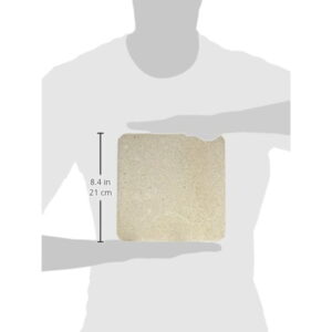 CerMedia MarinePure Plate Bio-Filter Media 8 by 8 by 1-Inch - Image 2