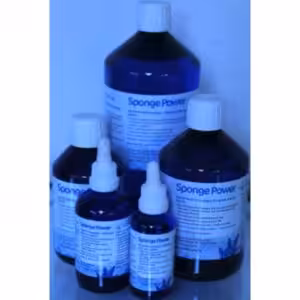 Korallen Zucht Sponge Power Concentrate Indiefur.com