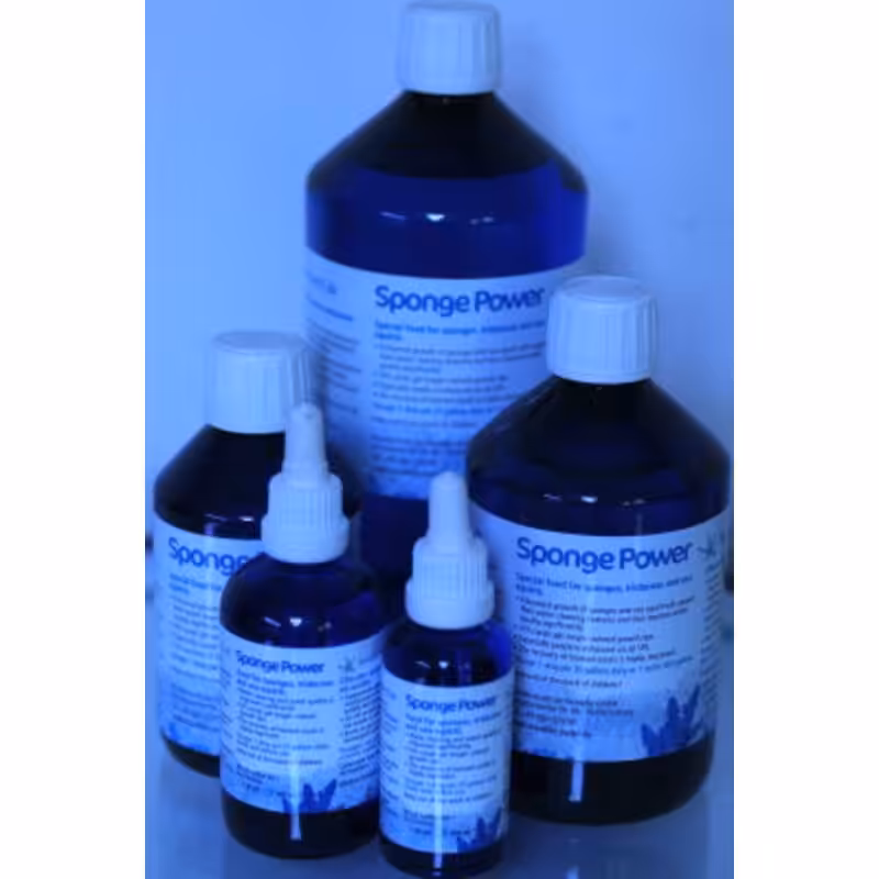 Korallen Zucht Sponge Power Concentrate Indiefur.com