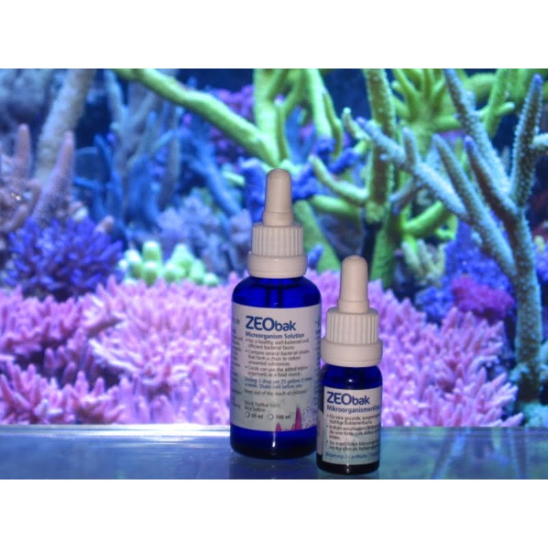 Korallen Zucht Zeobak 50 ml korallen zucht zeobak Indiefur.com