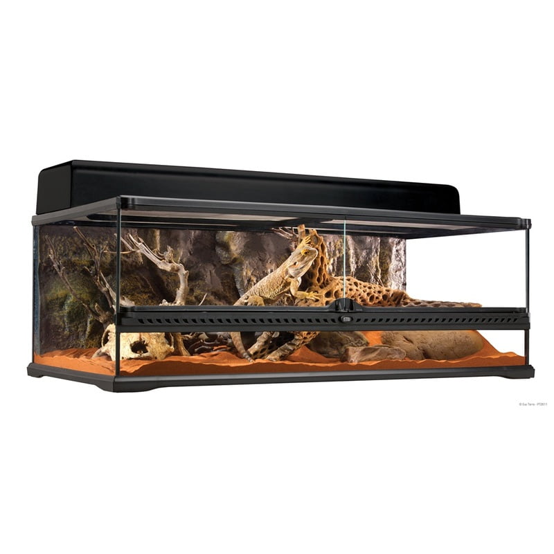 Exo Terra All Glass Terrarium 90 X 45 X 30 Cm Exo Terra All Glass Terrarium