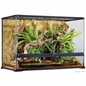 Exo Terra All Glass Terrarium