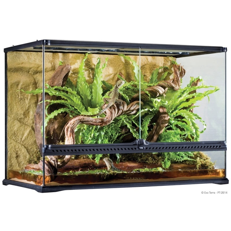 Exo Terra All Glass Terrarium 90 X 45 X 60 Cm Exo Terra All Glass Terrarium