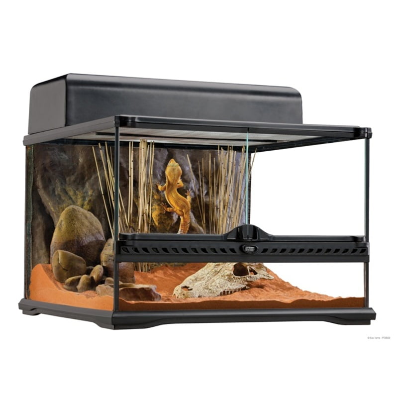 Exo Terra Natural Terrarium - Advanced Reptile Habitat 45 X 45 X 30 Cm Exo Terra Natural Terrarium - Advanced Reptile Habitat