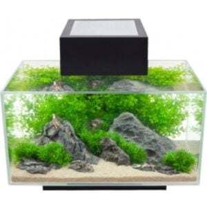 Fluval Edge 23 Litre (6 US Gal) LED - Black - Image 2