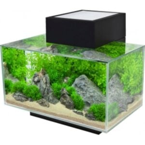 Fluval Edge 23 Litre (6 US Gal) LED - Black - Image 3