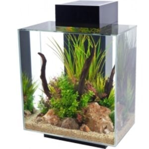 Fluval Edge 46 Litre (12 US Gal) LED - Black - Image 3