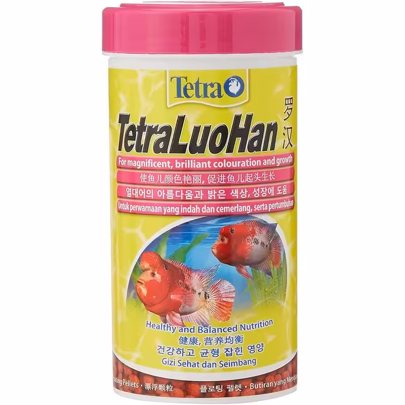 Tetra Louhan