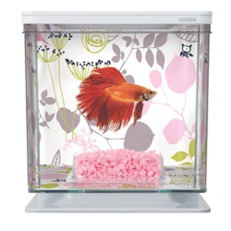Marina Betta Kit - Floral Marina Betta Kit - Floral - Image 3