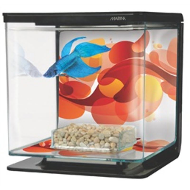 Marina Betta Kit - Sun Swirl Marina Betta Kit - Sun Swirl Indiefur.com
