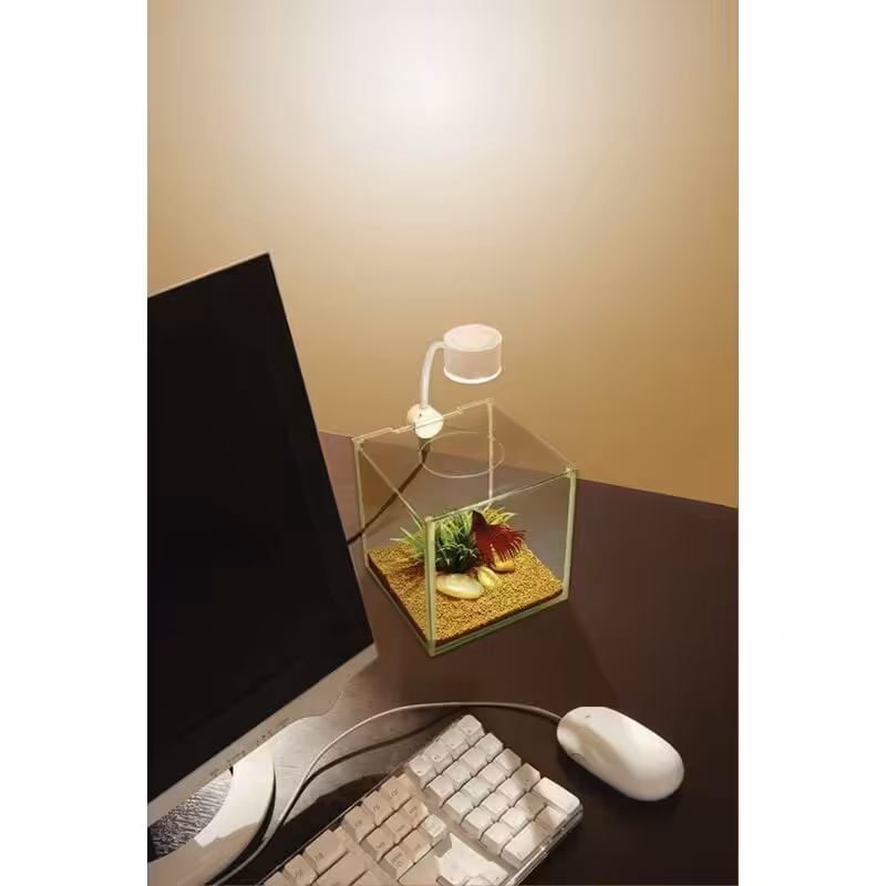 Marina Cubus Glass Betta Kit Marina Cubus Glass Betta Kit - Image 4