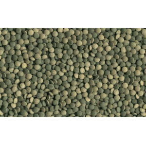 Tetra Pleco Tablets