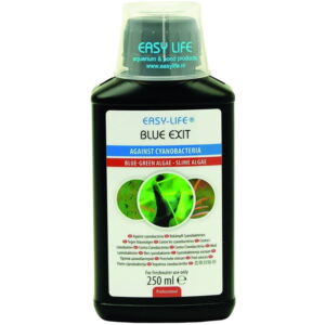 Easy Life Blue Exit