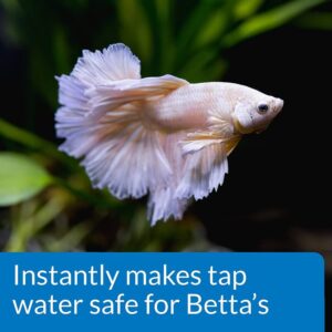 API Betta Water Conditioner 50 ml - Image 3