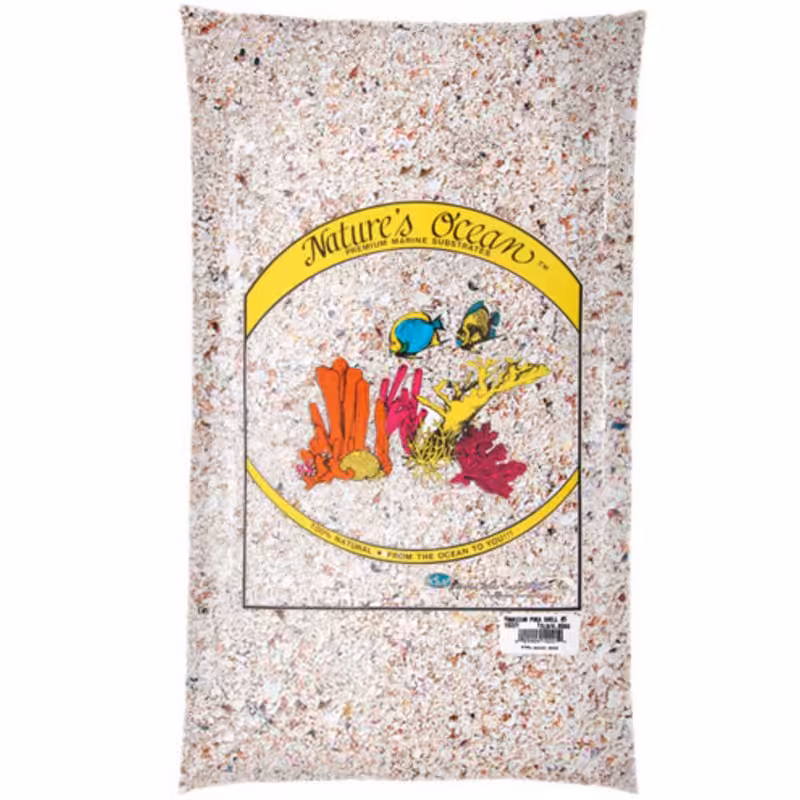 Natures Ocean Hawaiian Puka Shell 6.8 Kg