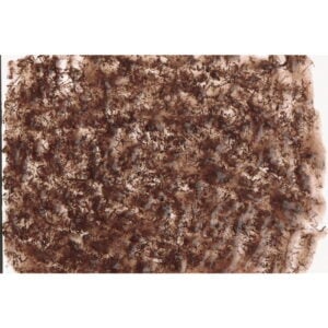 Tetra Fresh Delica Bloodworms 48 gm - Image 3