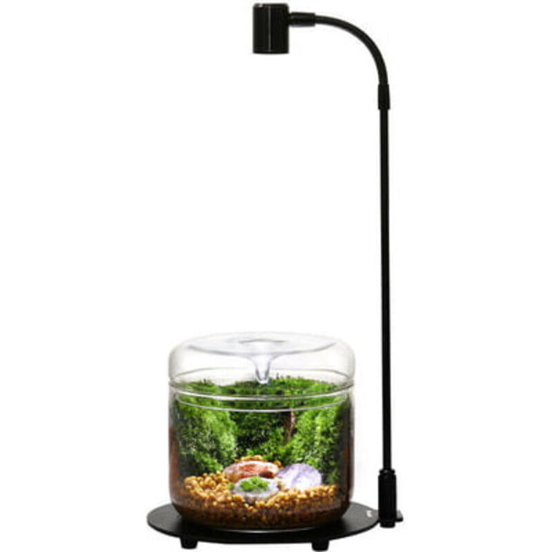 Bioloark Eco Bottle Lamp With Stand Bioloark Eco Bottle Lamp With Stand