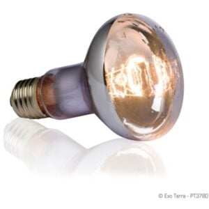 Exo Terra Swamp Glow Basking Spot Neodymium Bulb, 50 W