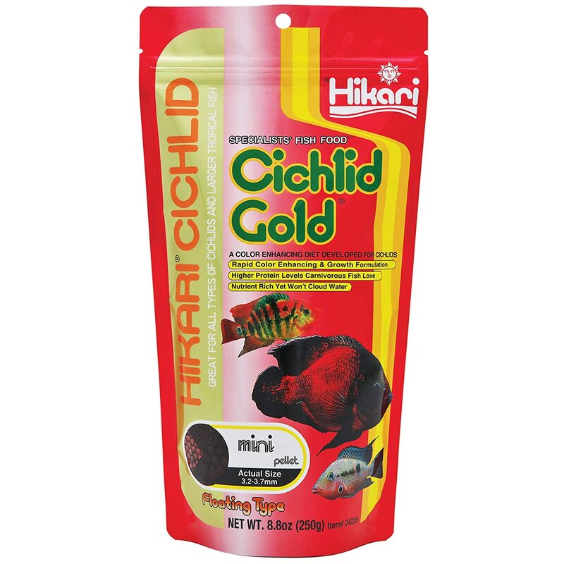 Hikari Cichlid Gold Mini 250 gm Hikari Cichlid Gold mini