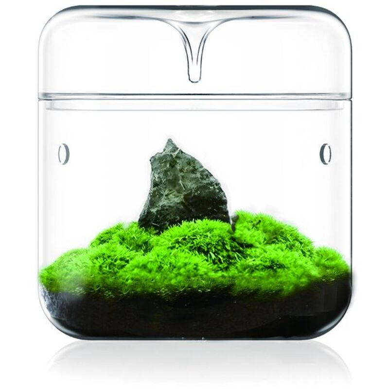 Bioloark Moss Bottle Luji Cup MY 120 Bioloark Moss Bottle Luji Cup MY 120