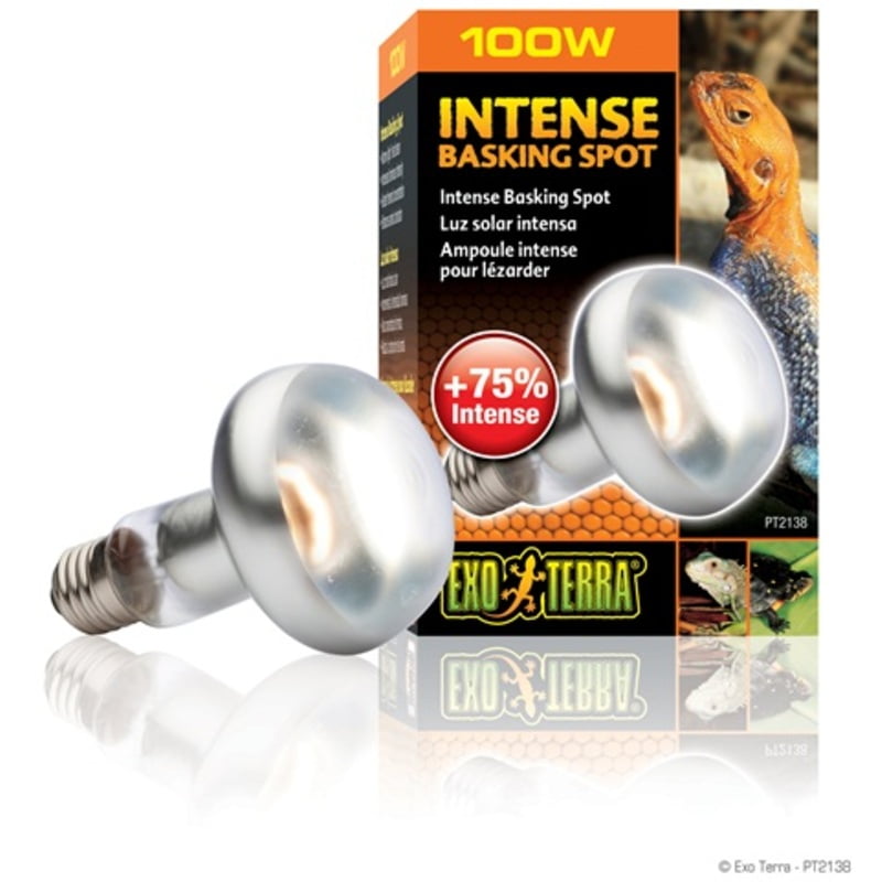 Exo Terra Reptile Basking Spot Lamp 100 Watt 80 mm - V Exo Terra Rep Basking Spot Lamp, 100 Watt
