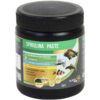 Teraa Spirulina Paste 100 Gm