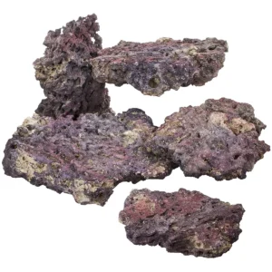 CaribSea Shelf LifeRock Dry Live Rock