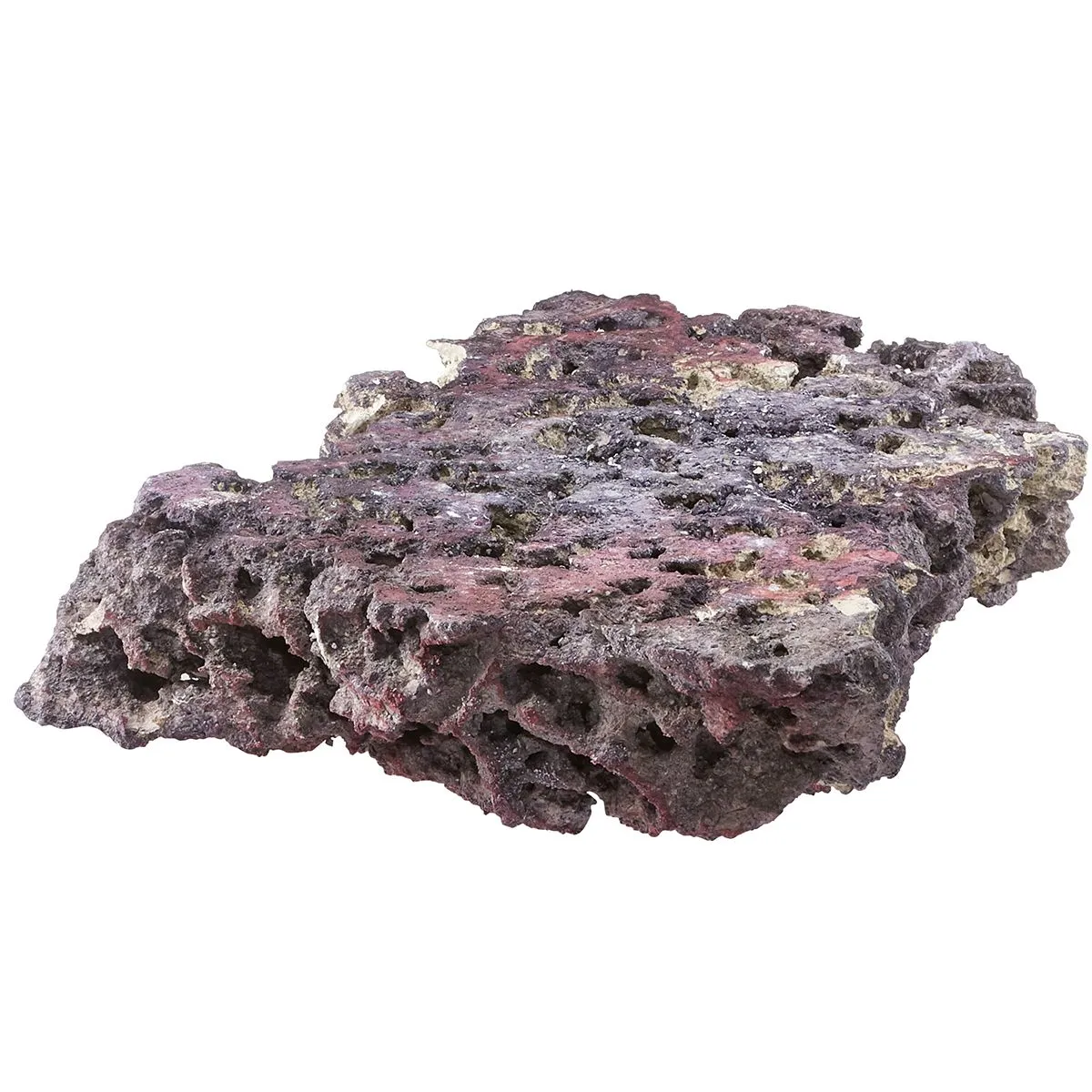 CaribSea Shelf LifeRock Dry Live Rock 40 Lbs CaribSea Shelf LifeRock Dry Live Rock 40 Lbs - Image 6