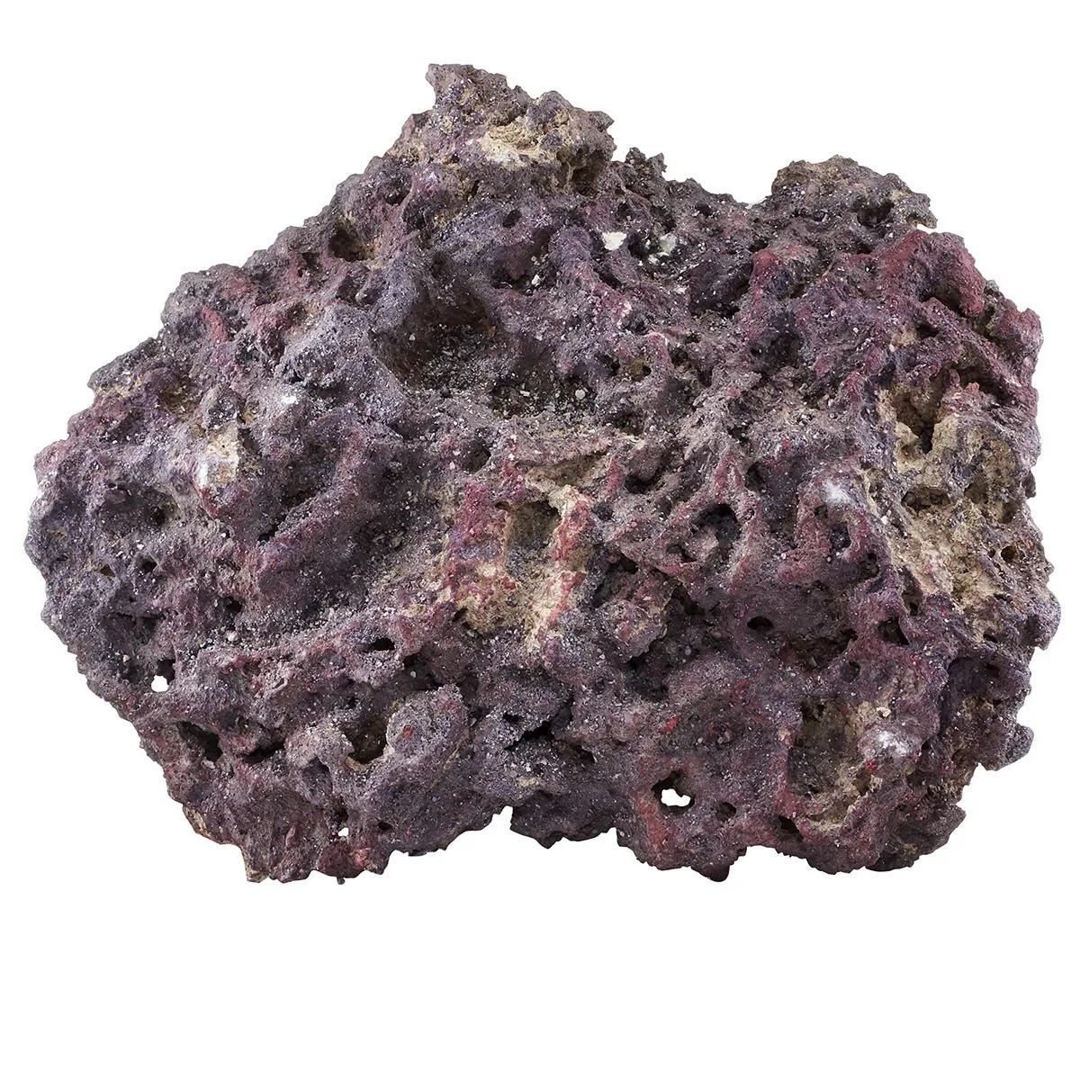 CaribSea Shelf LifeRock Dry Live Rock 40 Lbs CaribSea Shelf LifeRock Dry Live Rock 40 Lbs - Image 5