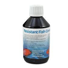 Korallen-Zucht Resistant Fish Concentrate - 5000 ml Korallen-Zucht Resistant Fish Concentrate - 5000 ml - Image 3
