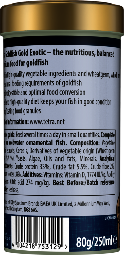 Tetra Goldfish Gold Exotic Tetra Goldfish Gold Exotic - Image 4