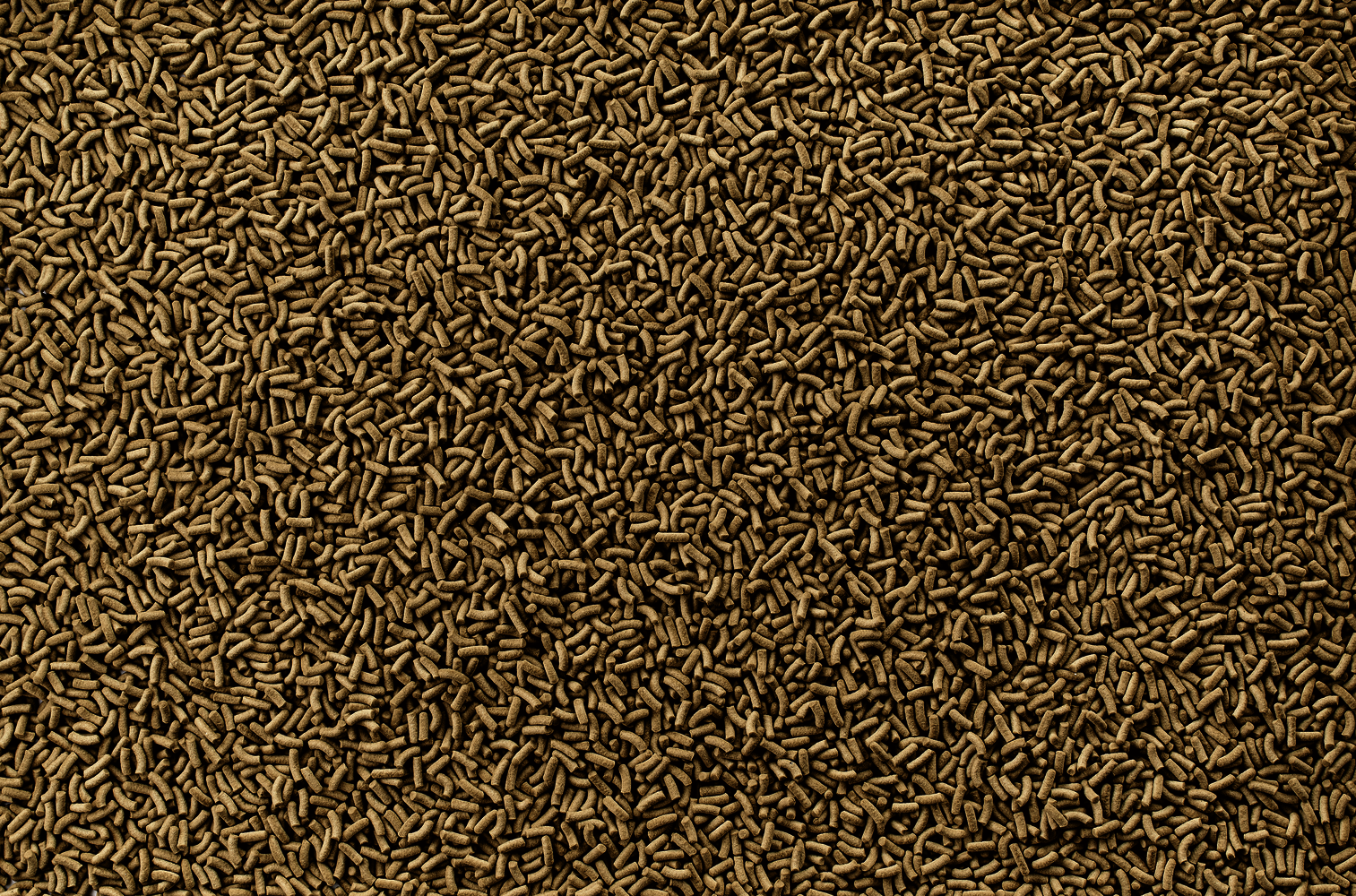 Tetra ReptoMin Baby Tetra ReptoMin Baby - Image 4