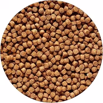 Hikari Cichlid Gold Sinking 342 gm Medium Pellet Hikari Cichlid Gold Sinking 342 gm Medium Pellet - Image 2