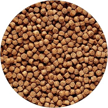 Hikari Cichlid Gold Sinking 342 gm Medium Pellet Hikari Cichlid Gold Sinking 342 gm Medium Pellet - Image 2