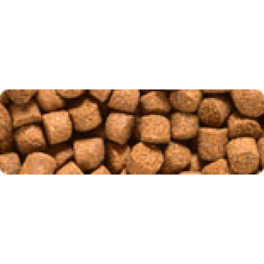 Hikari Cichlid Gold Sinking 342 gm Medium Pellet Hikari Cichlid Gold Sinking 342 gm Medium Pellet - Image 3