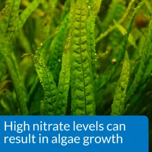 API Nitrate Test Kit