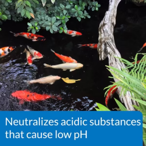 API pH DOWN 473 ml - Image 3