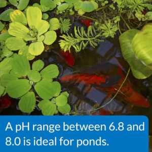 API pH DOWN 473 ml - Image 4